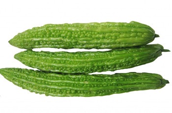 三亚苦瓜：冬种瓜菜主要作物之一