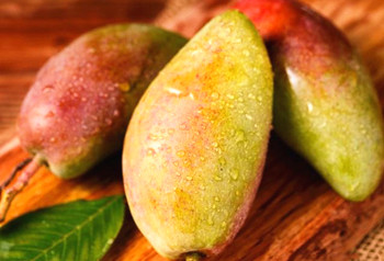 首届三亚国际芒果产业大会在三亚举行