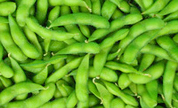 琼海毛豆：豆荚嫩绿色，青翠可爱