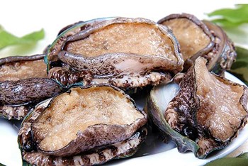 文昌龙楼鲍鱼：兼具风味与营养的海产品品