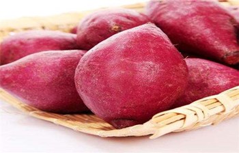 文昌紫红薯：具有很高的营养价值