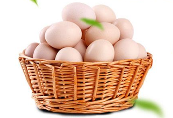 霸王岭山鸡蛋纯净天然，营养丰富