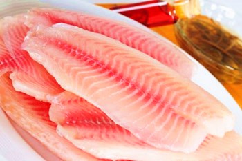 海口罗非鱼肉质细嫩鲜美，弹性好，无土腥味