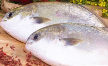 澄迈金鲳鱼：其鱼肉为白色、细嫩、鲜美可口