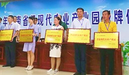 文昌椰子现代农业产业园正式授牌成立