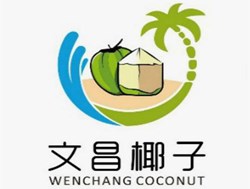 中国椰子之乡头条号