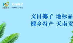 南海网文昌椰子品牌专题报道