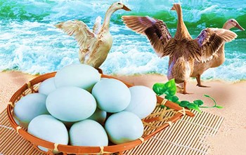 儋州跑海鸭蛋：蛋黄呈鲜亮的红色，味美鲜香
