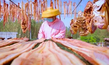 儋州红鱼：肉厚刺少，肉质鲜美，营养丰富