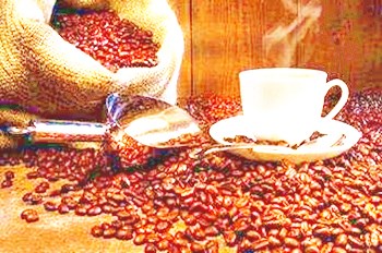万宁兴隆咖啡：万宁市特产，中国国家地理标志产品