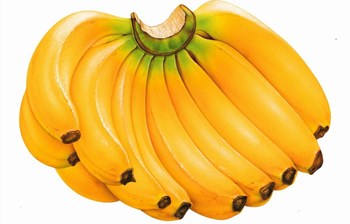 乐东香蕉：风味浓、口感好、品质优，营养价值高