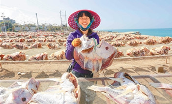 儋州红鱼生产销售旺季省内外客户络绎不绝