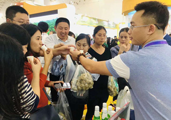 文昌椰子新产品层出不穷