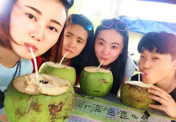 文昌椰子 海南旅游新动力