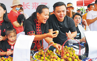 陵水荔枝文化节开幕，首日签约订单超3.2亿元