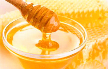 乐东天然野生蜂蜜，源自热带雨林