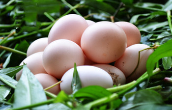 白沙虫草鸡蛋;香鲜不腻，富有丰富的营养