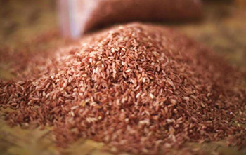 白沙山兰米：色泽自然，米粒细长，米香纯净