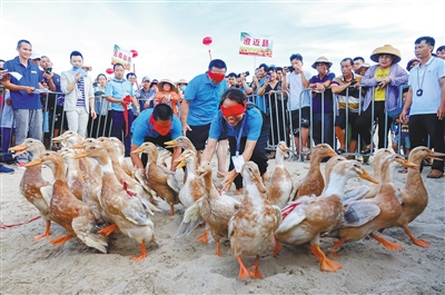 海南：各市县农民丰收节趣味游园活动庆丰收