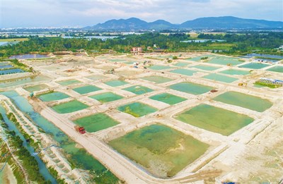 陵水水产南繁苗种项目计划2021年底建成投产