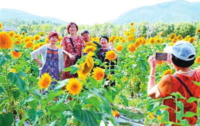 三亚花卉产业发展欣欣向荣，助推乡村振兴