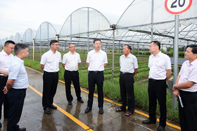 刘冲：提高基地农业现代化水平，提高农业产业收入