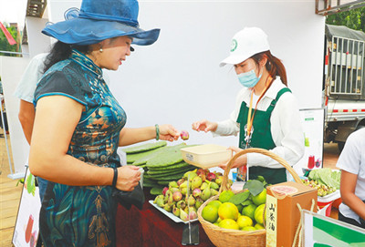 中国农民丰收节海南会场举办农民趣味运动会美食展