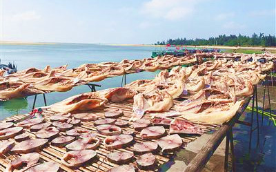 昌江麻鱼网：产于咸淡水交界海域，肉细嫩鲜美