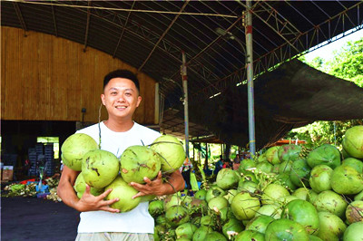 文昌完善椰子产业链条，提高椰子附加值，带动农民增收