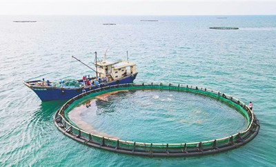 昌江：发展深海养殖助力渔业产业转型升级
