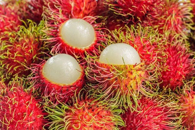 保亭红毛丹：热带珍稀水果，享誉全国