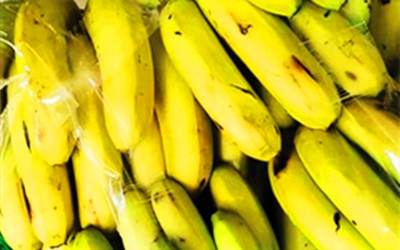 陵水6000斤香蕉全都卖出去啦！