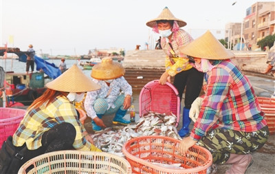 昌江：渔船捕捞作业满载归 渔获交易忙