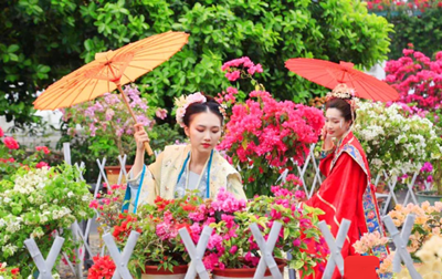 琼山三角梅共享农庄：看花海、走花道、闻花香、听花吧