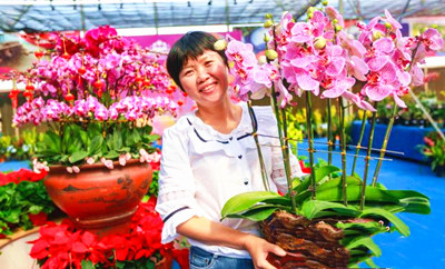 昌江持续探索创建特色花卉产业，打造花卉品牌效应