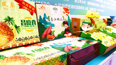 昌江热带特色农产品亮相2024海南热带水果博览会