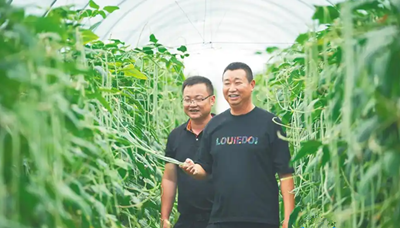 乐东平均每天三百车瓜果菜出岛