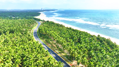 文昌：全链条发力壮大椰子特色产业